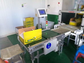 電氣配料控制系統生產線加裝計量儀器設備改裝自動化配料稱重罐裝